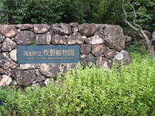 20200601.jpg