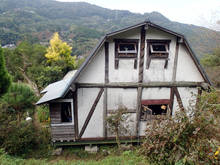 yp013.jpg