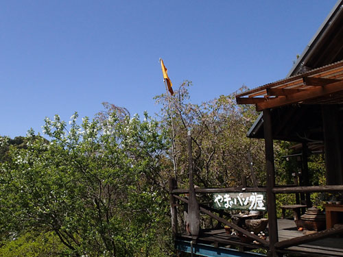 P4110063.jpg