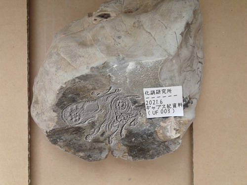 ufg003a.jpg