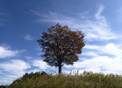 PB040237.JPG