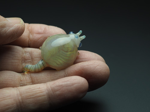 Triops12.jpg