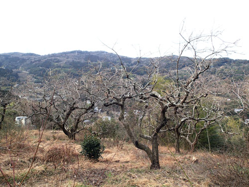 P2030590.JPG