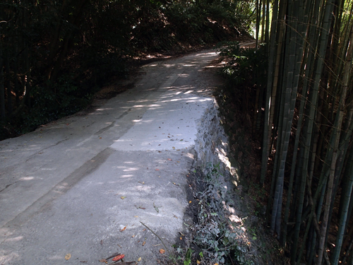 PA021041.JPG