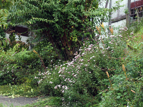 PA220065.jpg