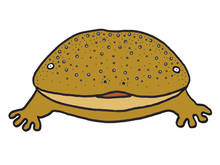 oosann500375.jpg