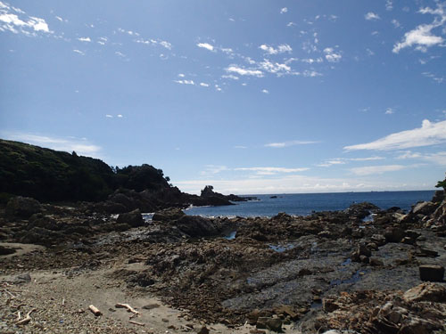 PA061002.jpg