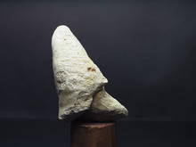 PB170025.jpg