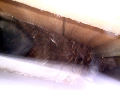 P2113323.JPG
